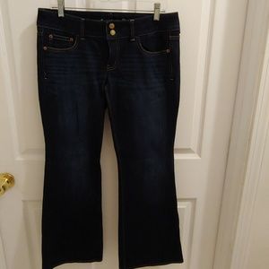 American Eagle Outfitters Womens Jeans Artist